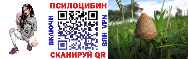 hydra онион  Тверь  Псилоцибиновые грибы мухоморы  где можно купить наркотик 